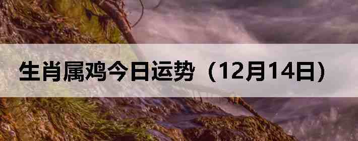 ��Ф�����������ƣ�12��14�գ�