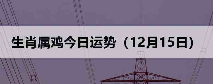 ��Ф�����������ƣ�12��15�գ�