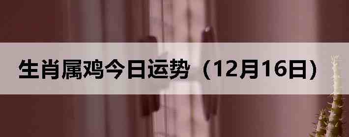 ��Ф�����������ƣ�12��16�գ�