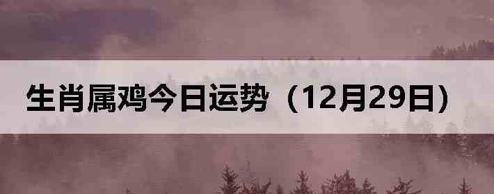 ��Ф�����������ƣ�12��29�գ�