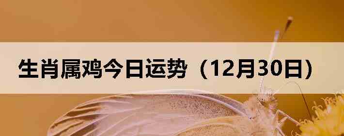 ��Ф�����������ƣ�12��30�գ�