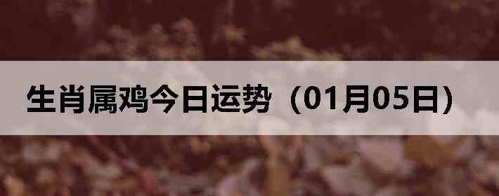 ��Ф�����������ƣ�01��05�գ�