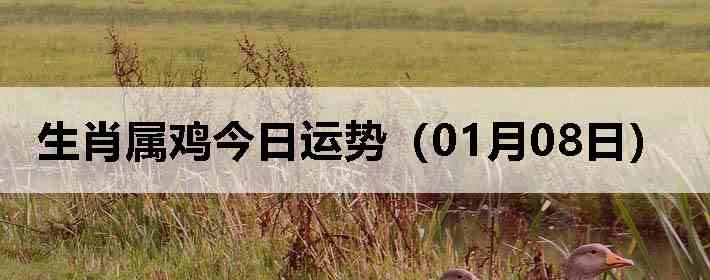 ��Ф�����������ƣ�01��08�գ�