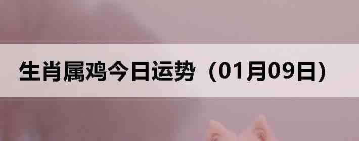 ��Ф�����������ƣ�01��09�գ�