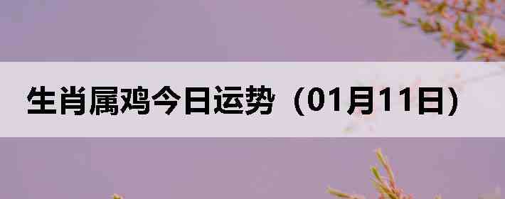 ��Ф�����������ƣ�01��11�գ�