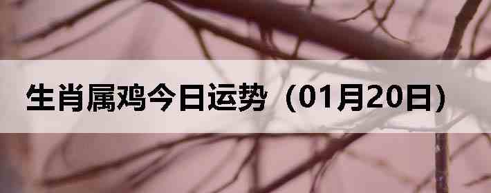 ��Ф�����������ƣ�01��20�գ�