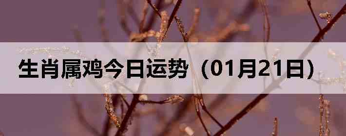 ��Ф�����������ƣ�01��21�գ�