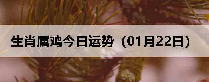 ��Ф�����������ƣ�01��22�գ�