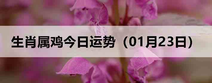 ��Ф�����������ƣ�01��23�գ�