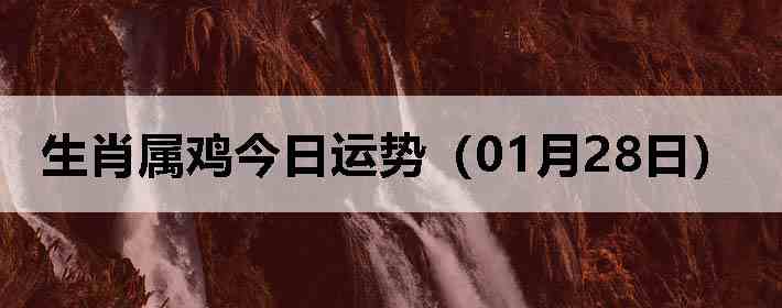 ��Ф�����������ƣ�01��28�գ�