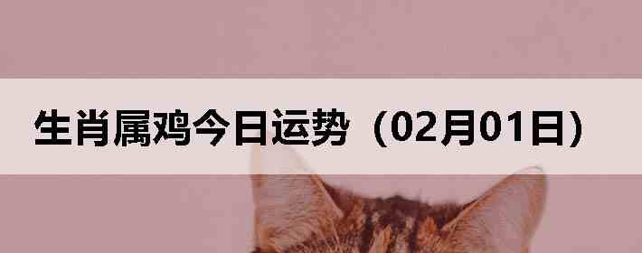 ��Ф�����������ƣ�02��01�գ�