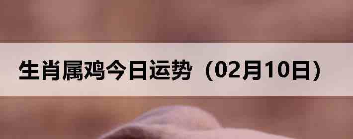 ��Ф�����������ƣ�02��10�գ�