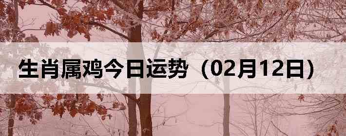 ��Ф�����������ƣ�02��12�գ�