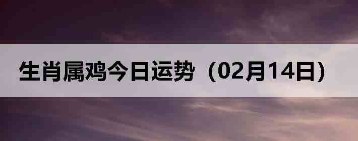 ��Ф�����������ƣ�02��14�գ�