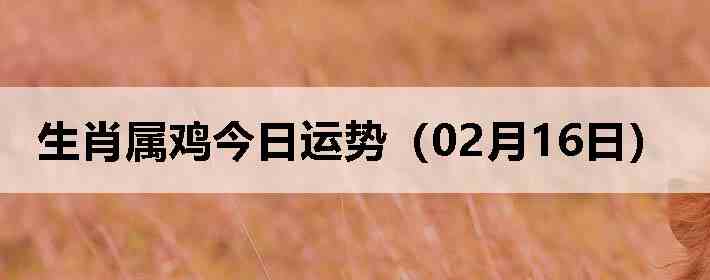 ��Ф�����������ƣ�02��16�գ�