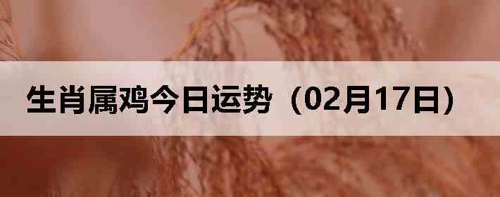 ��Ф�����������ƣ�02��17�գ�