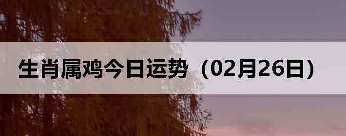 ��Ф�����������ƣ�02��26�գ�