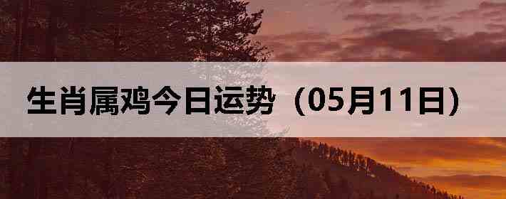 ��Ф�����������ƣ�05��11�գ�