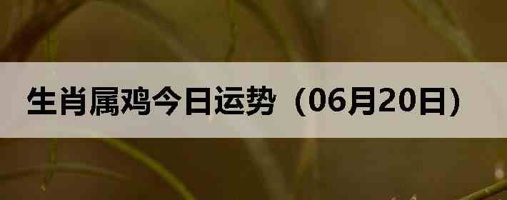 ��Ф�����������ƣ�06��20�գ�