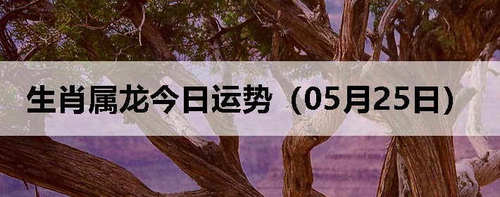 Фƣ0525գ