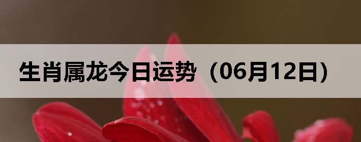 Фƣ0612գ