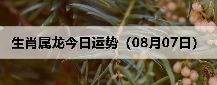Фƣ0807գ