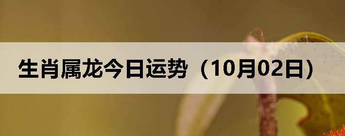 Фƣ1002գ