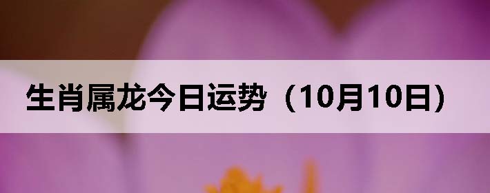 Фƣ1010գ