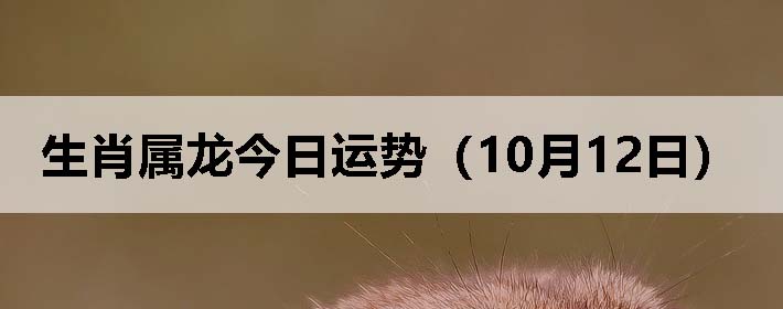 Фƣ1012գ