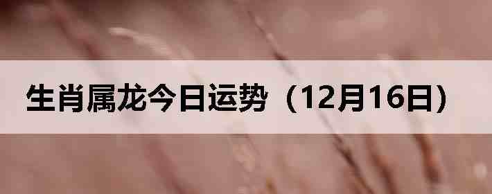 ��Ф�����������ƣ�12��16�գ�