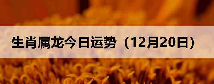 ��Ф�����������ƣ�12��20�գ�