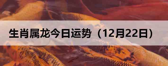 ��Ф�����������ƣ�12��22�գ�