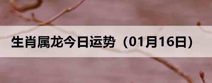 ��Ф�����������ƣ�01��16�գ�