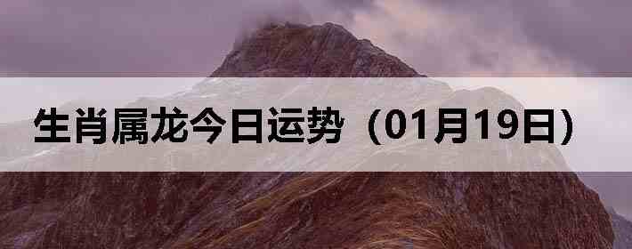 ��Ф�����������ƣ�01��19�գ�