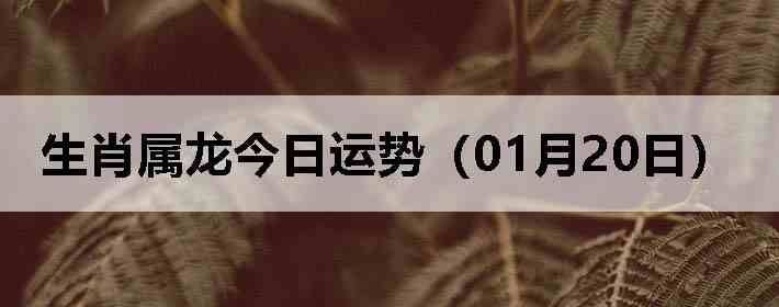 ��Ф�����������ƣ�01��20�գ�