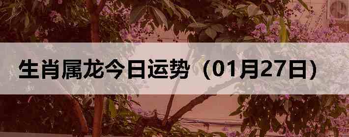 ��Ф�����������ƣ�01��27�գ�