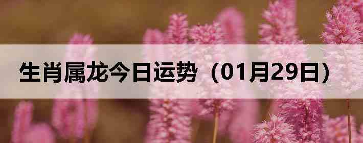 ��Ф�����������ƣ�01��29�գ�