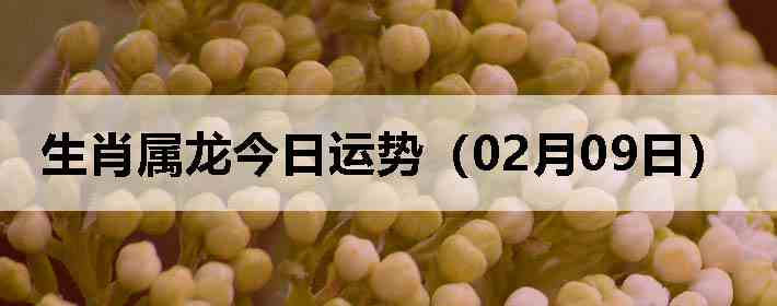 ��Ф�����������ƣ�02��09�գ�