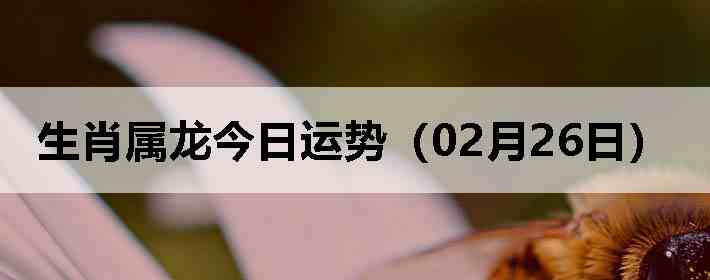 ��Ф�����������ƣ�02��26�գ�