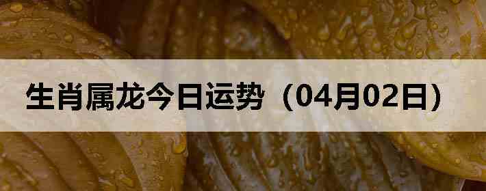 ��Ф�����������ƣ�04��02�գ�