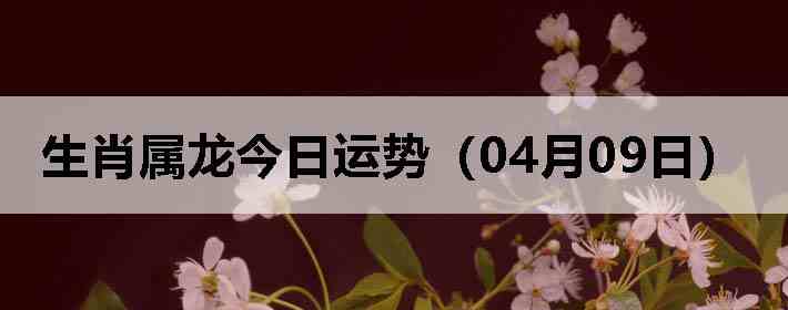 ��Ф�����������ƣ�04��09�գ�