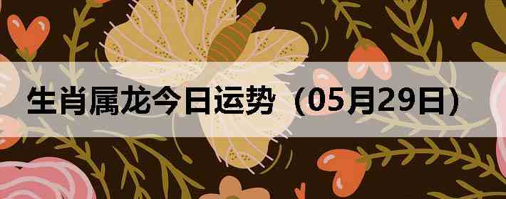 ��Ф�����������ƣ�05��29�գ�