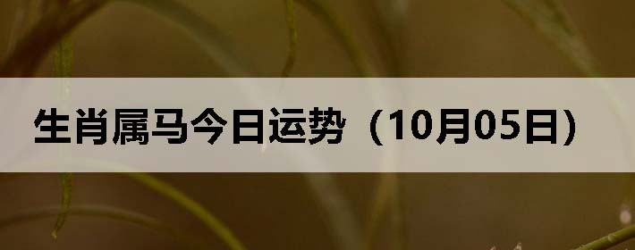 Фƣ1005գ