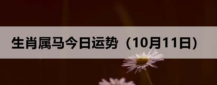 Фƣ1011գ