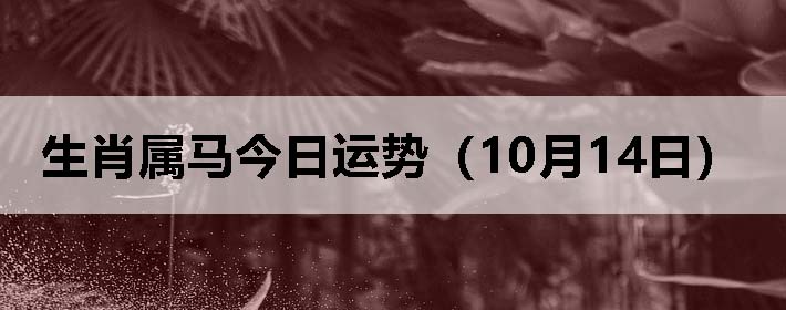 Фƣ1014գ