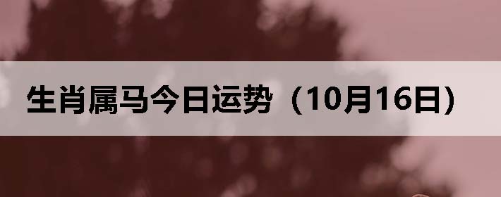 Фƣ1016գ