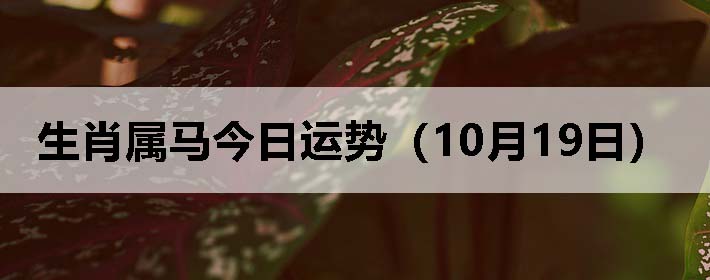 Фƣ1019գ