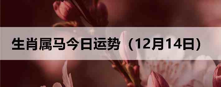 ��Ф�����������ƣ�12��14�գ�