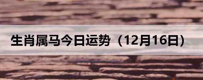 ��Ф�����������ƣ�12��16�գ�