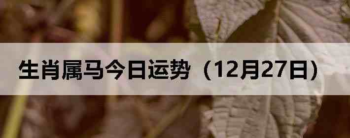 ��Ф�����������ƣ�12��27�գ�